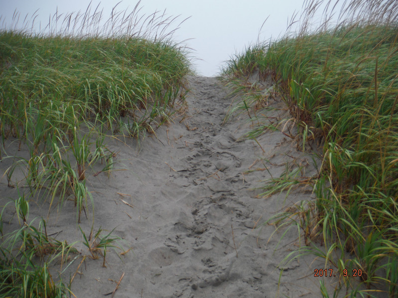 Path to sand dunes