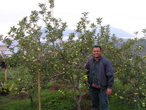 at an apple farm nearby hotel area