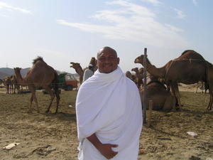 at Camel farm