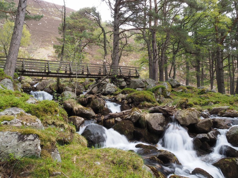 Loch Muick Trail