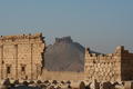 Palmyra and castle