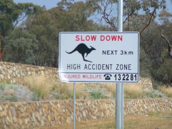 Kangaroo Zone