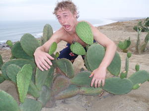 Cacti and Rob