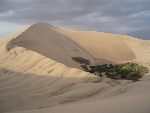SAND dune