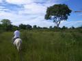 Reiten im Pantanal