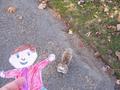 Flat Stanley Meets a Friendly DC Squirrel