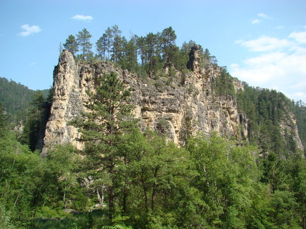 View in Spearfish Canyon