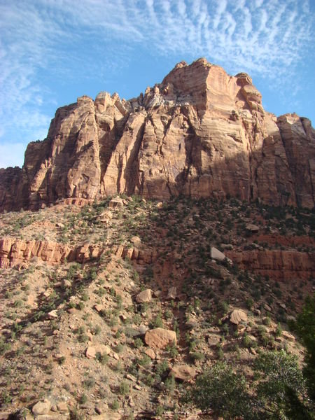 Zion View #8