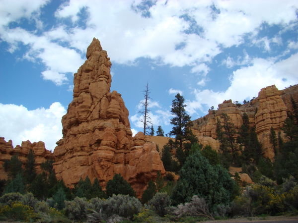 Red Canyon #1