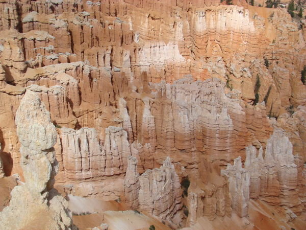 Bryce Canyon #14