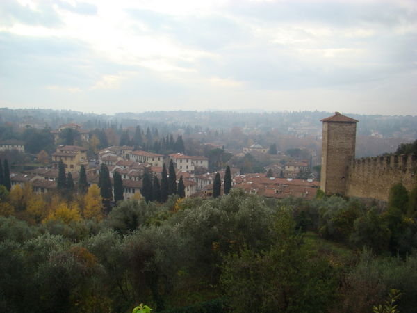 Pitti Garden Terrace View