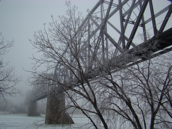 Frosty Trees by Railroad Bridge