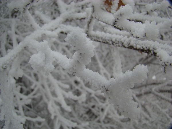 Frost Up Close