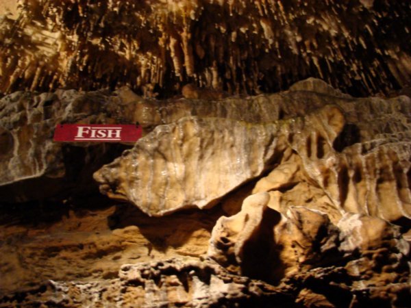Cave leading to Ruby Falls