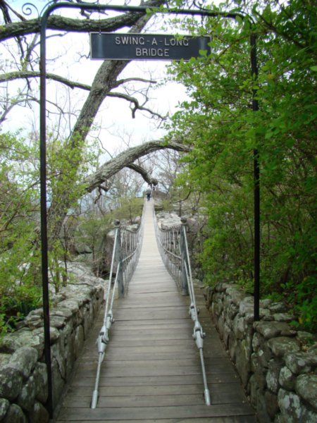 Suspension Bridge on LookOut Mountain