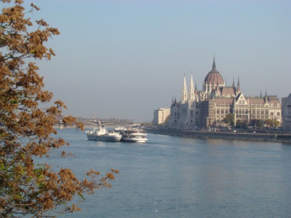 Parliament and the Danube