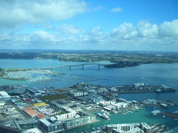 A view of the marina from the top of the tower