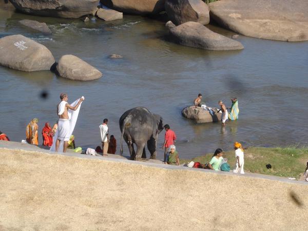 Laxi the elephant taking her bath in Hampi