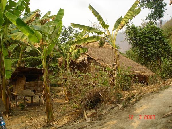 Laos village Hut