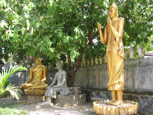 more buddhas