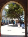 Picturesque Essaouira