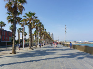 The Beach of Barcelona