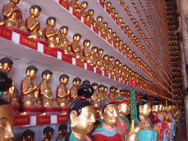 10,000 buddhas - REALLY!!!