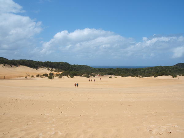 The view back across the Dunes from Lake Wabby on Fraser Island