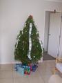 Our Christmas Tree....