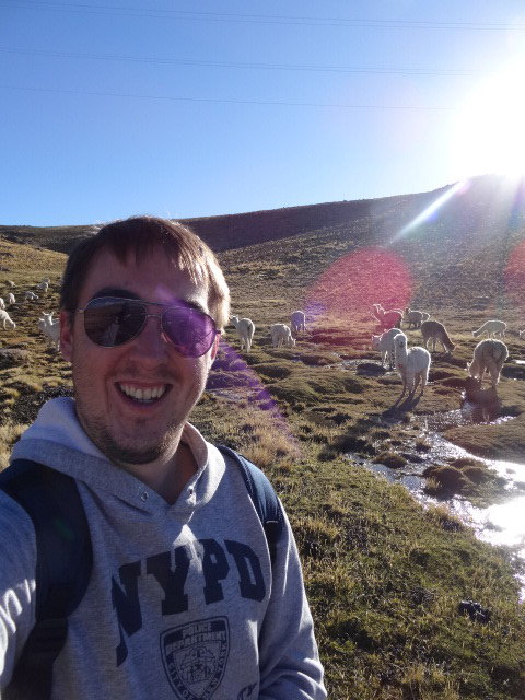 Chris with some alpacas