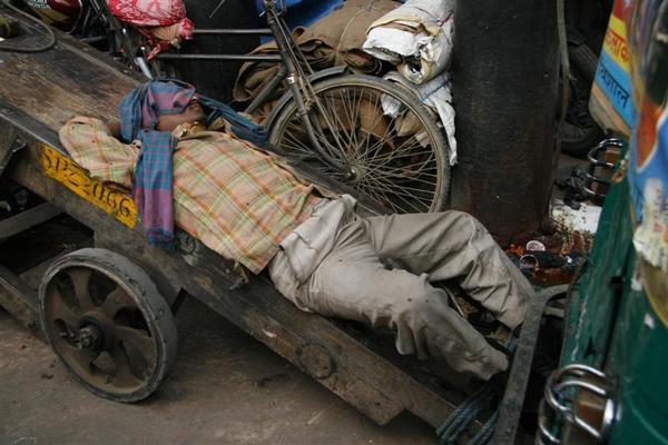 somehow napping in the midst of old delhi chaos