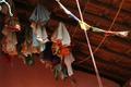 laundry and prayer flags