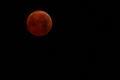 full lunar eclipse, as seen from our roof