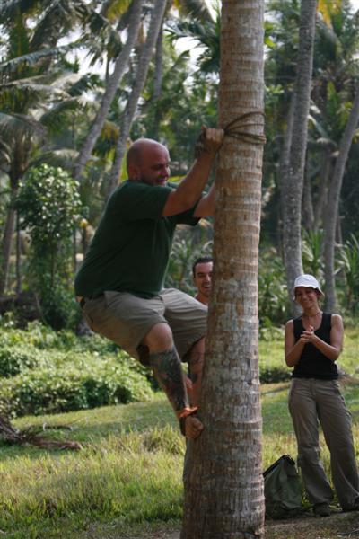 Jeff climbing a palm tree