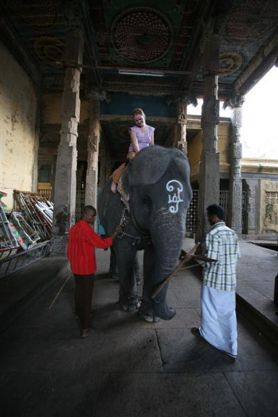 Me sitting on the temple elephant