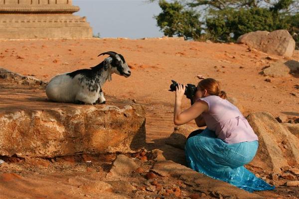 me photographing a goat