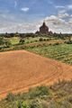 fields and temples in Bagan