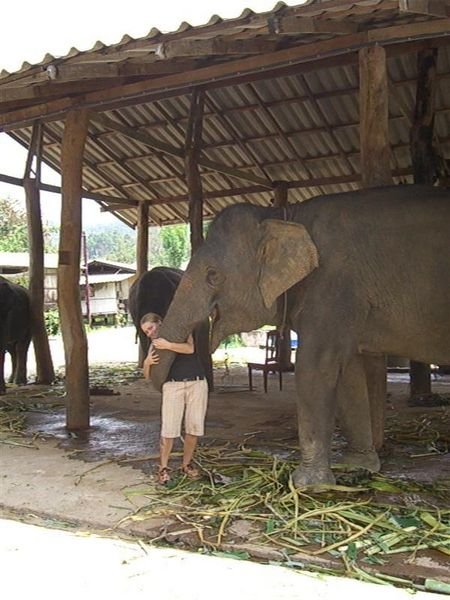 hugging an elephant