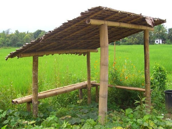 bamboo shelter in the countryside