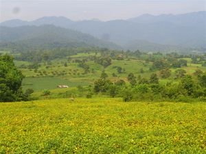 the countryside near Pai