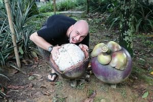 Jeff and a giant mangosteen, his new favorite fruit