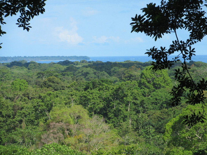 View of Cahuita Point from Lookout Tower
