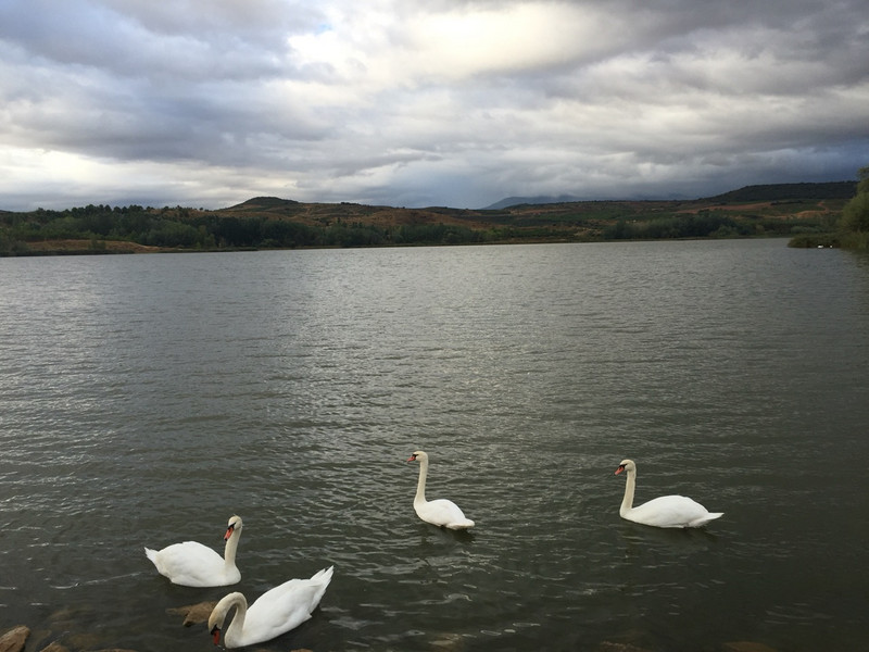Lake Reservoir Outside Logrono 