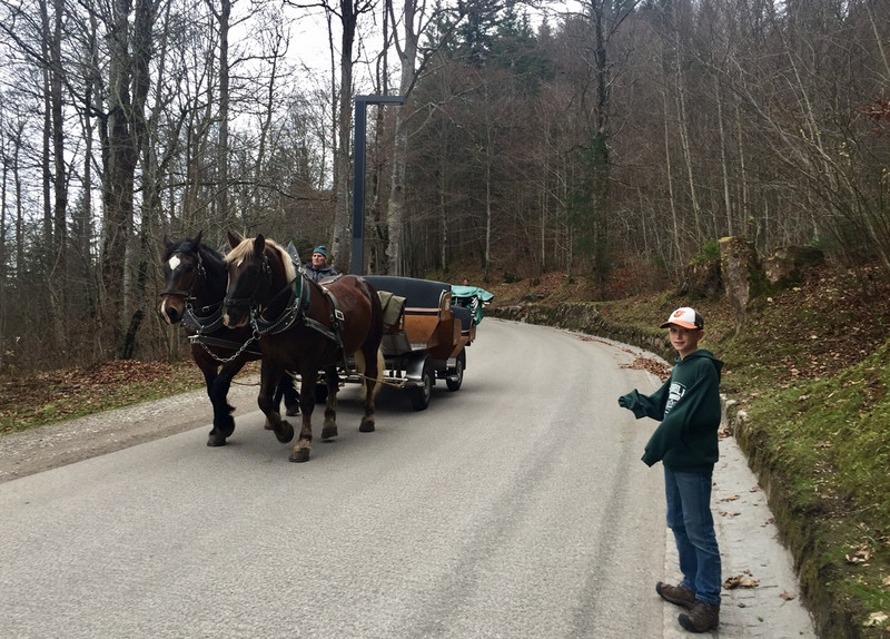 Carriage at Neuschwanstein 