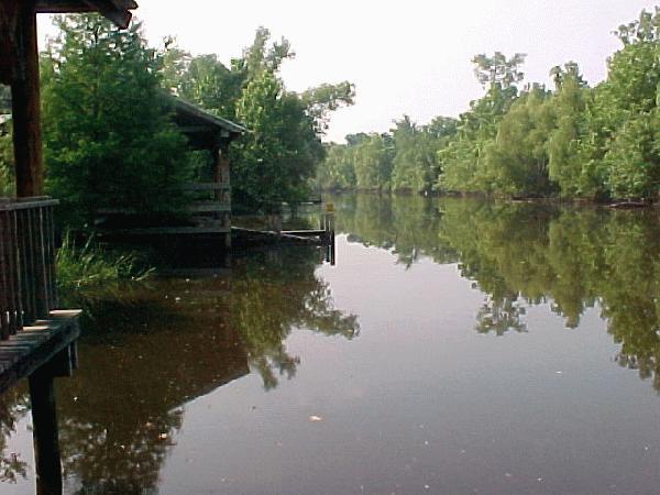 The Biyou, Louisiana