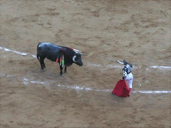 Bull Fight, Plaza De Mexico 6