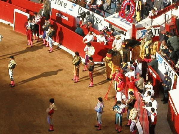 Bull Fight, Plaza De Mexico 3