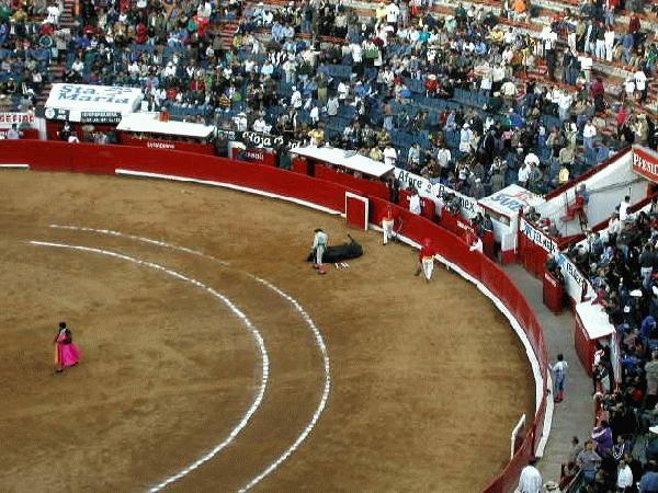 Bull Fight, Plaza De Mexico 7