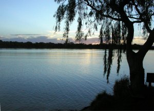 The Murray River at Talem Bend SA.