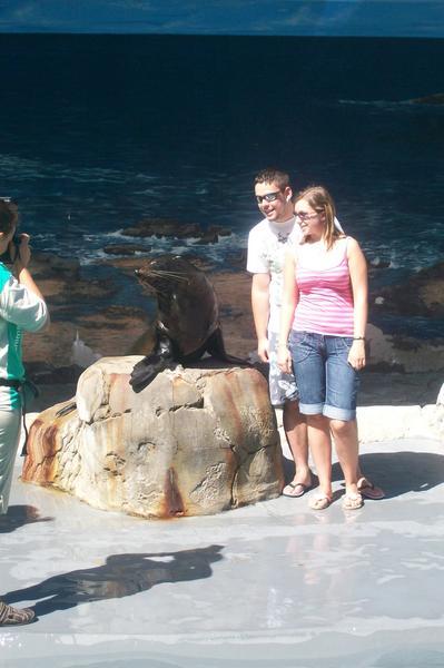 Me and Emma With Mav The Seal At Taronga Zoo....